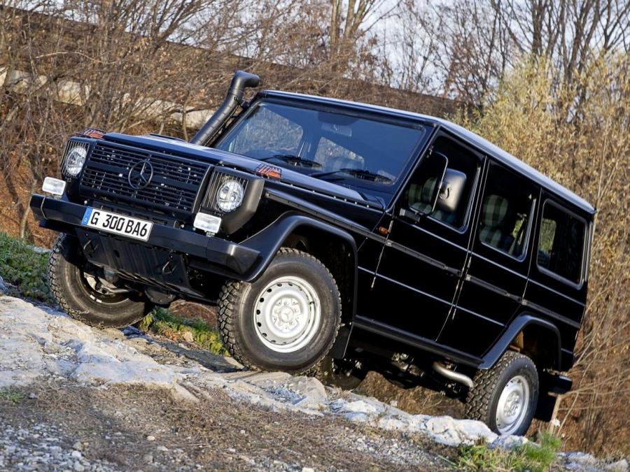  Mercedes-Benz G300 CDI Professional 2010 года  (фото 15 из 35)
